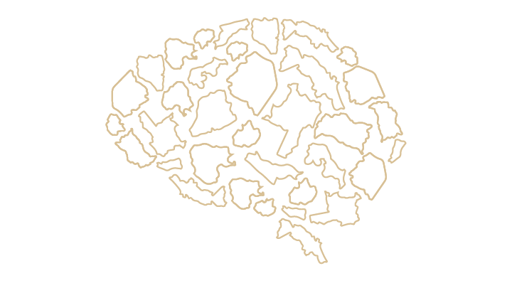 Think Zambia Brain